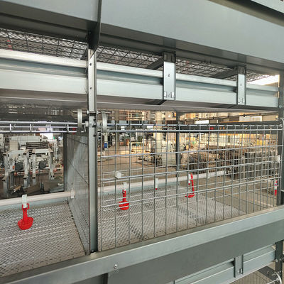 Automated H-Type Broiler Cage System - High-Density Hot-Dip Galvanized Poultry Farming Equipment