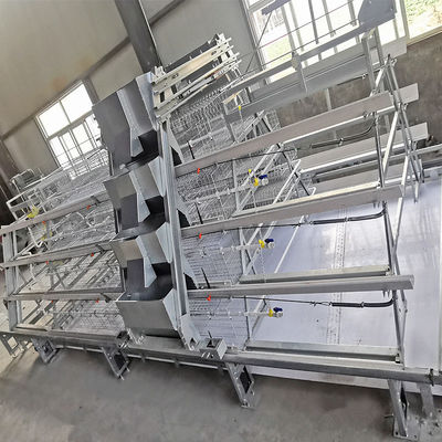 A Type Q235 Steel Baby Chicken Cage Hot Galvanized Wire Mesh