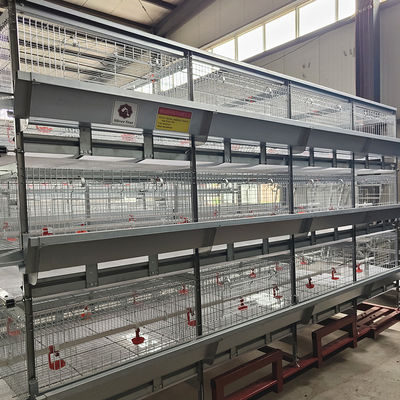 SONCAP 1 To 45 Days Battery Cage For Broilers Modern A / H Frame