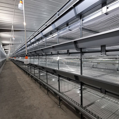 SONCAP 1 To 45 Days Battery Cage For Broilers Modern A / H Frame