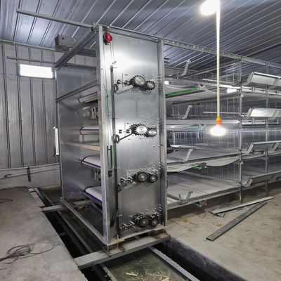 Hệ thống lồng pin H-Type với mạ kẽm nhúng nóng, máng ăn tự động và thiết kế mô-đun xếp chồng cho trang trại thương mại