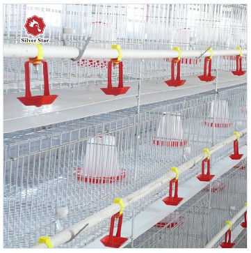 Hệ thống lồng ắc quy loại A cho trang trại gia cầm