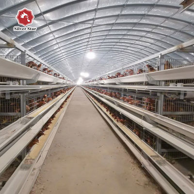 Lồng đẻ H-Type thương mại từ Nhà cung cấp & Nhà sản xuất đáng tin cậy | Giao hàng an toàn & Bốc xếp container