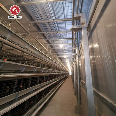 Giải pháp trọn gói chuồng nuôi gà H-Type cho trang trại trên 50.000 con