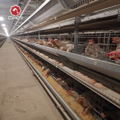 3Rows 28sets / Row A Type Wire Poultry Cage Farming Hens Equipments