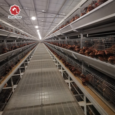 H Type Battery Chicken Farming Cage Chicken Farming Cage Automatic