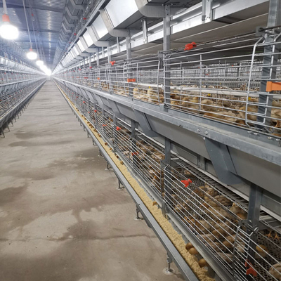 Hot Galvanized Battery Cage Poultry Drinking System